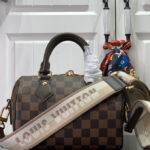 Louis Vuitton Speedy Bandouliere 20 N40489 Brown
